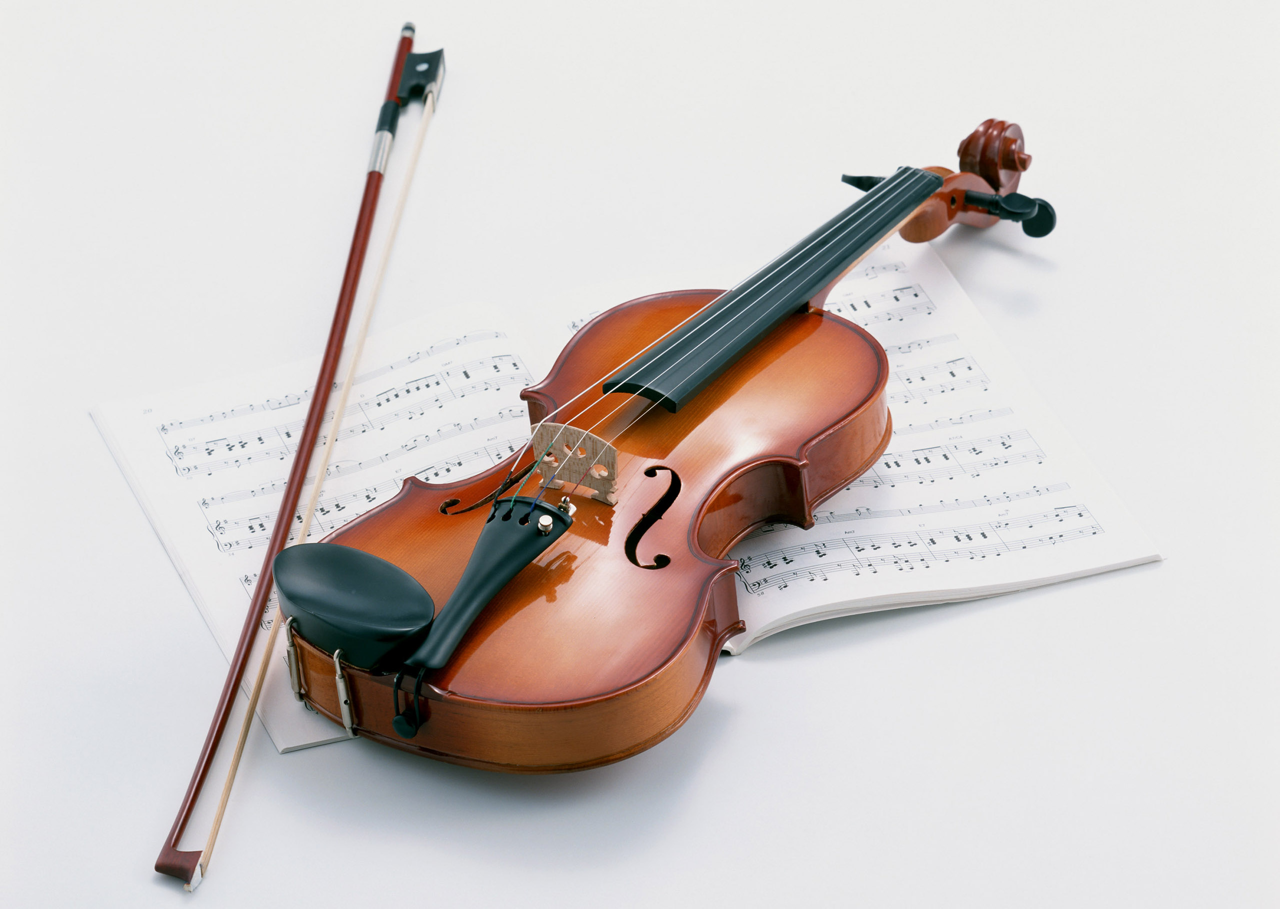 Violina